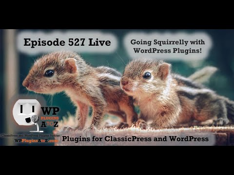 Going Squirrelly with WordPress Plugins!