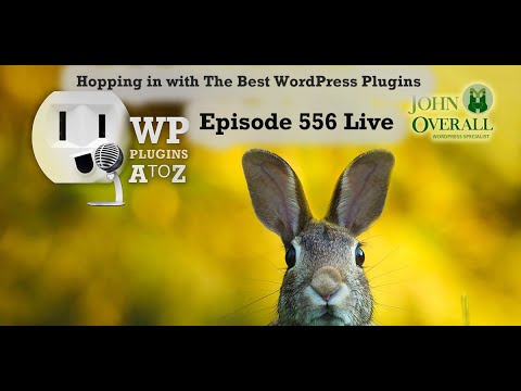 Hopping in With The Best WordPress Plugins