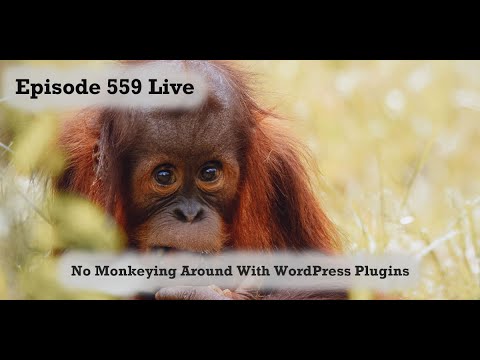 No Monkeying Around With WordPress Plugins