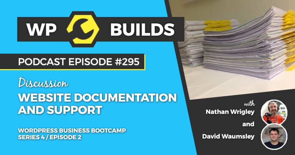 295 – Website documentation and support