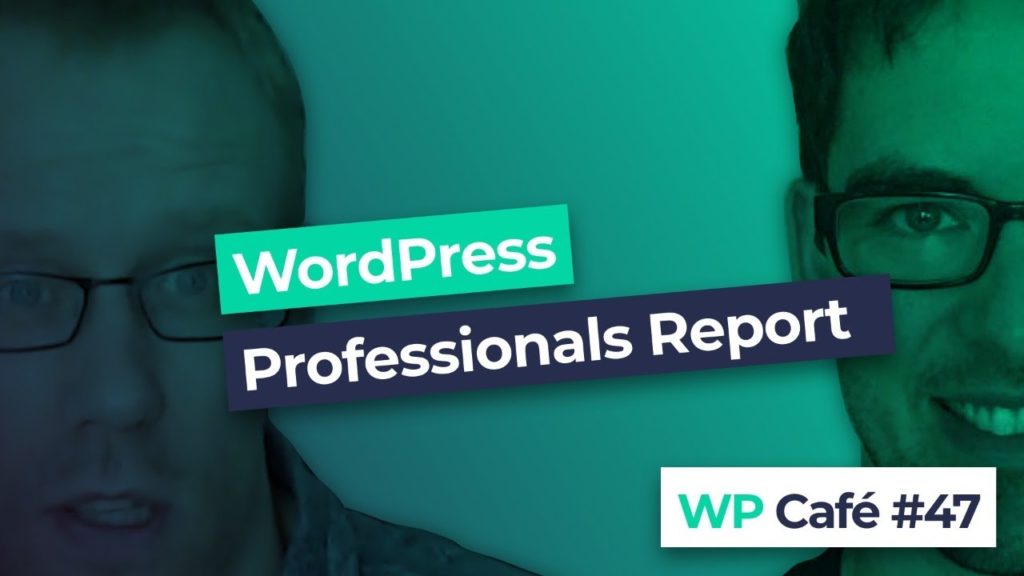 #47 WordPress Professionals Survey