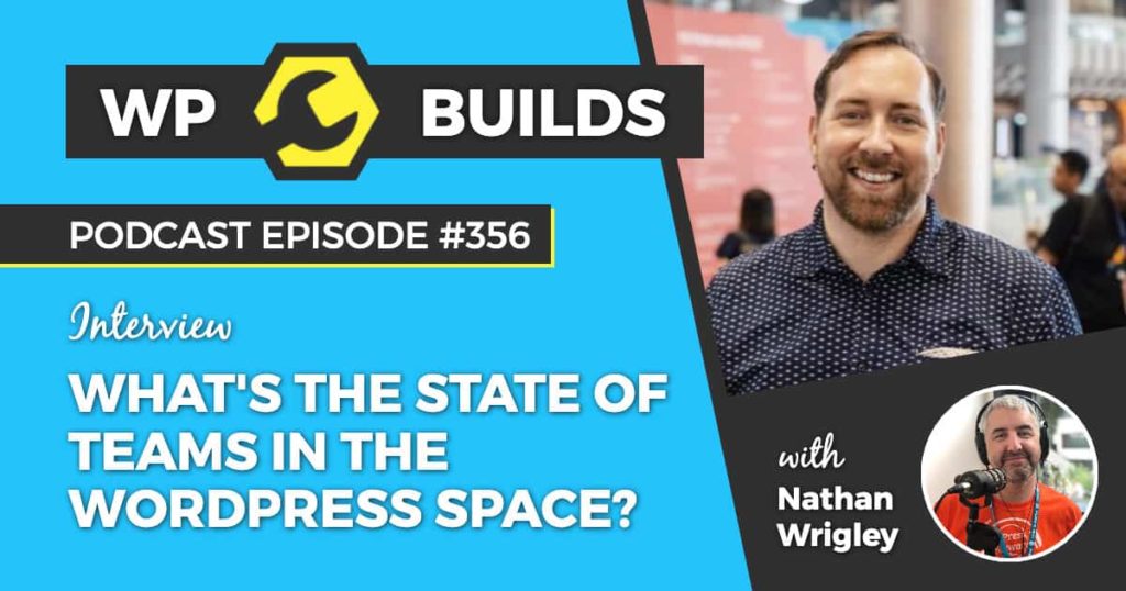 356 – What’s the state of teams in the WordPress space?