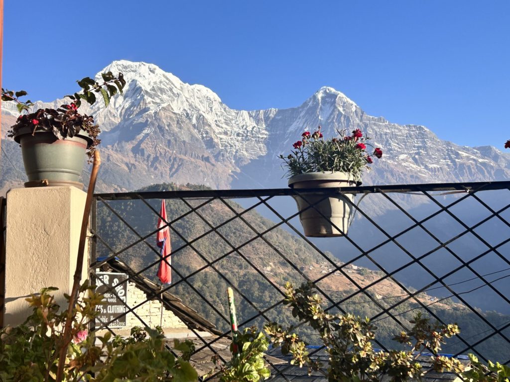 Floral delight with a scenic snowy Annapurna panorama